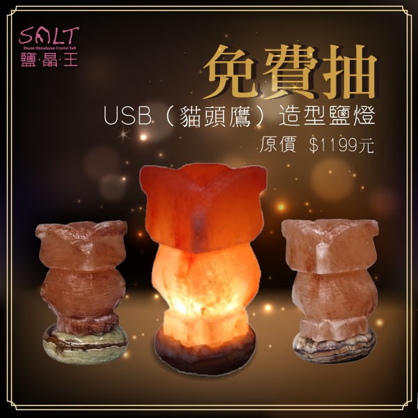 鹽燈專家-鹽晶王✪LINE好友獨享✪免費抽USB（貓頭鷹）造型鹽燈（定價1199元）。 